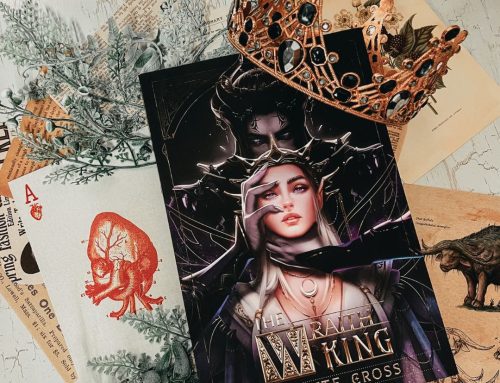 The Wraith King’s Giving Dark Fae Daddy (And A Million Other Tropes)